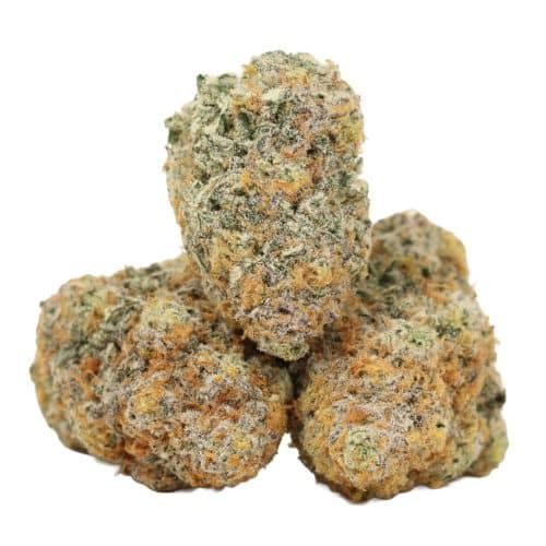 Pine Tar Kush Strain