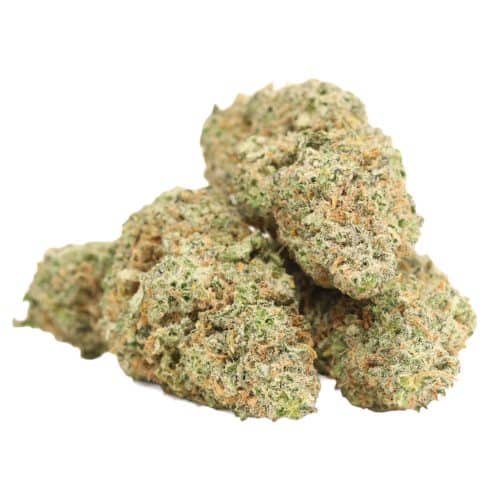 Pineapple Fanta strain cannabis