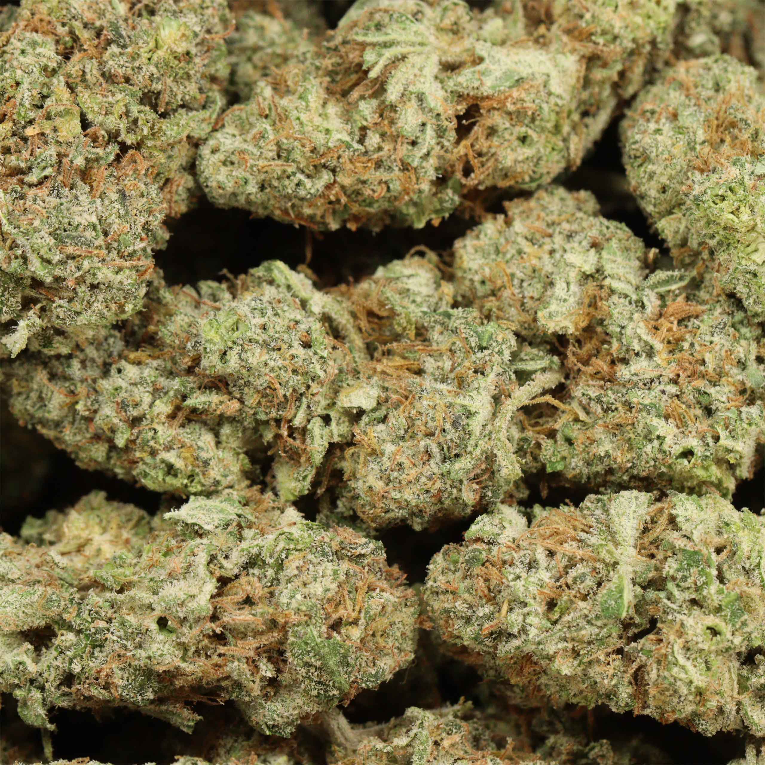 Pineapple Fanta cannabis wholesale