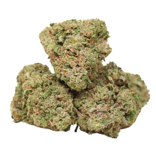 Pink Banner strain craft cannabis