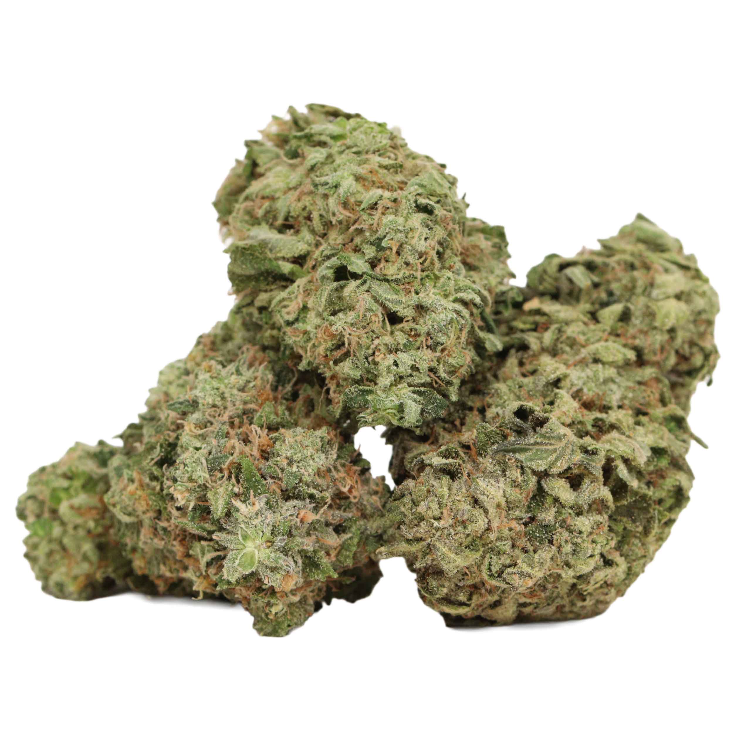 Pink Muerte strain cannabis