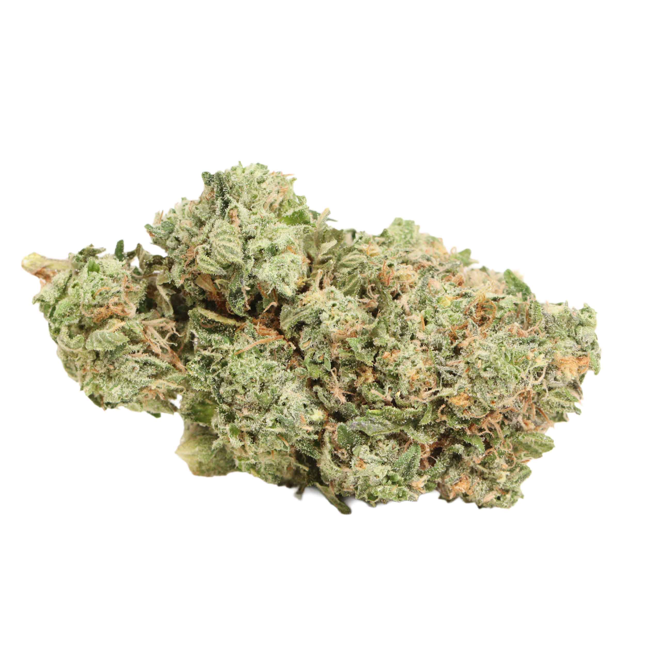 Pink Muerte weed cannabis