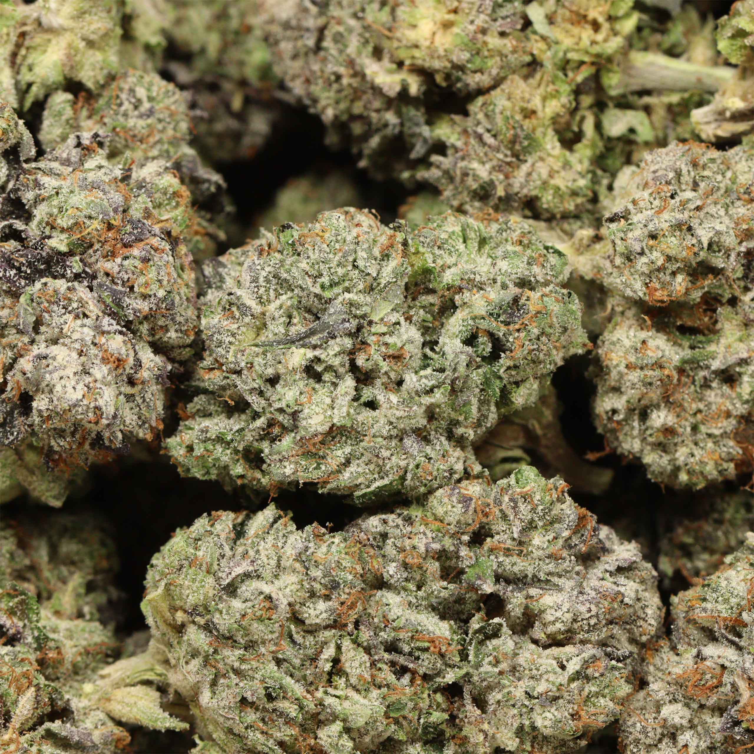 Pink Rozay craft cannabis wholesale