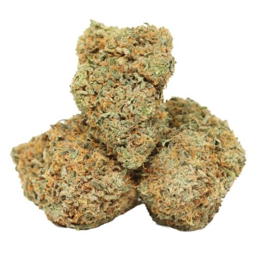 Purple Blizzard strain craft cannabis