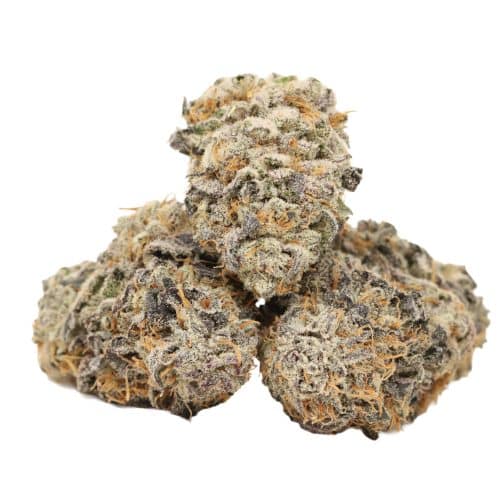 Purple Dank Breath strain craft cannabis