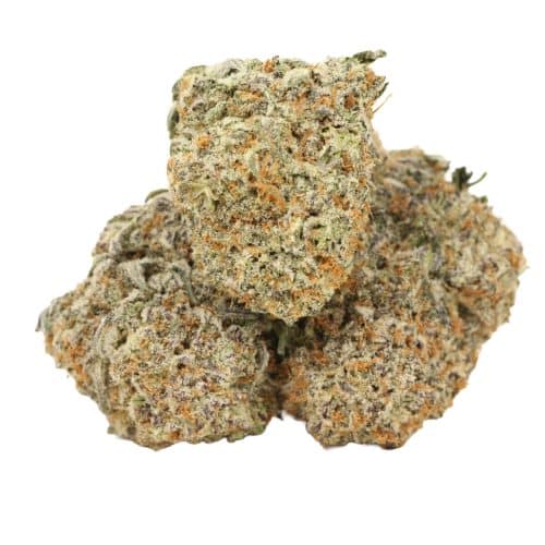 Quadzilla strain craft cannabis