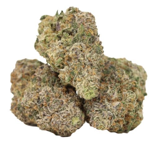 Quadzilla strain craft cannabis