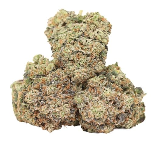 Rosé Pink No. 6 strain craft cannabis