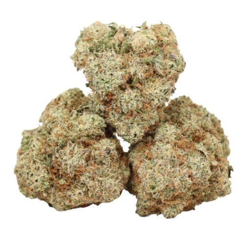 Sugar Cookie strain cannabis