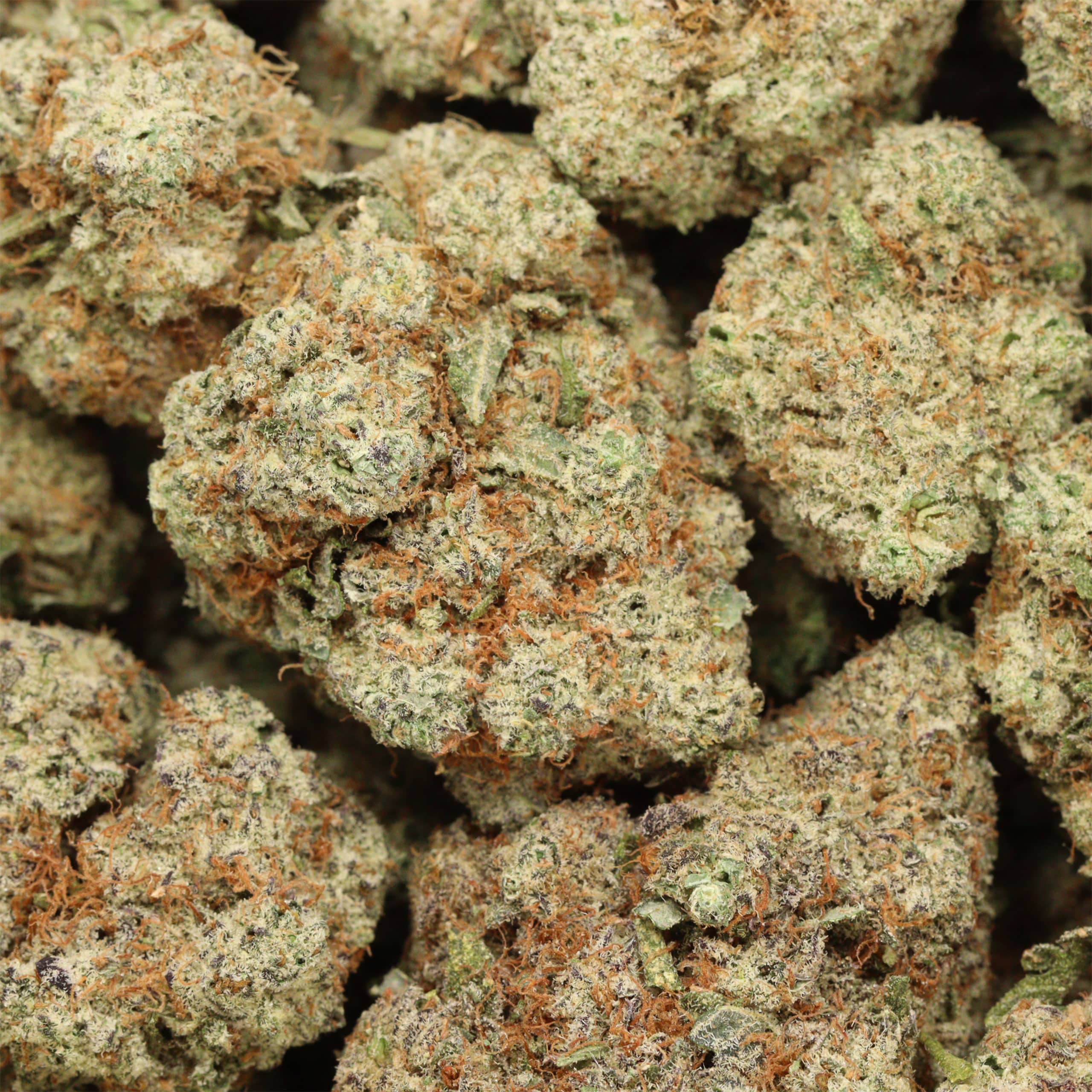 Sugar Cookie cannabis wholesale