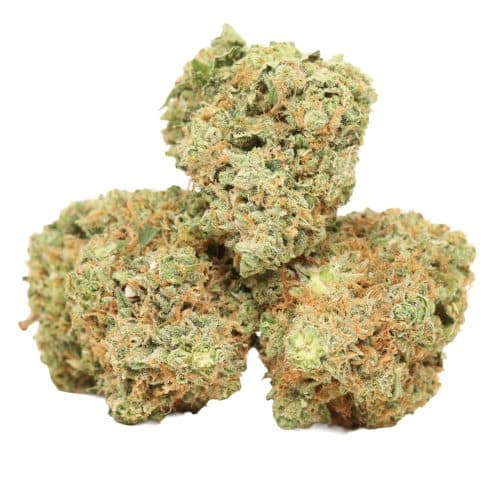 Trainwreck strain cannabis