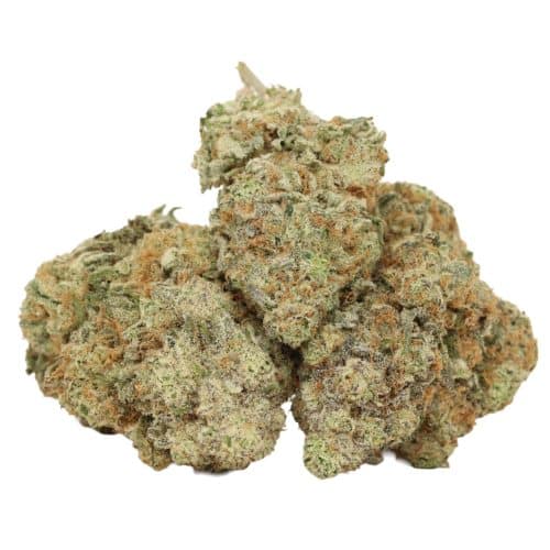 Tropicanna Banana strain cannabis