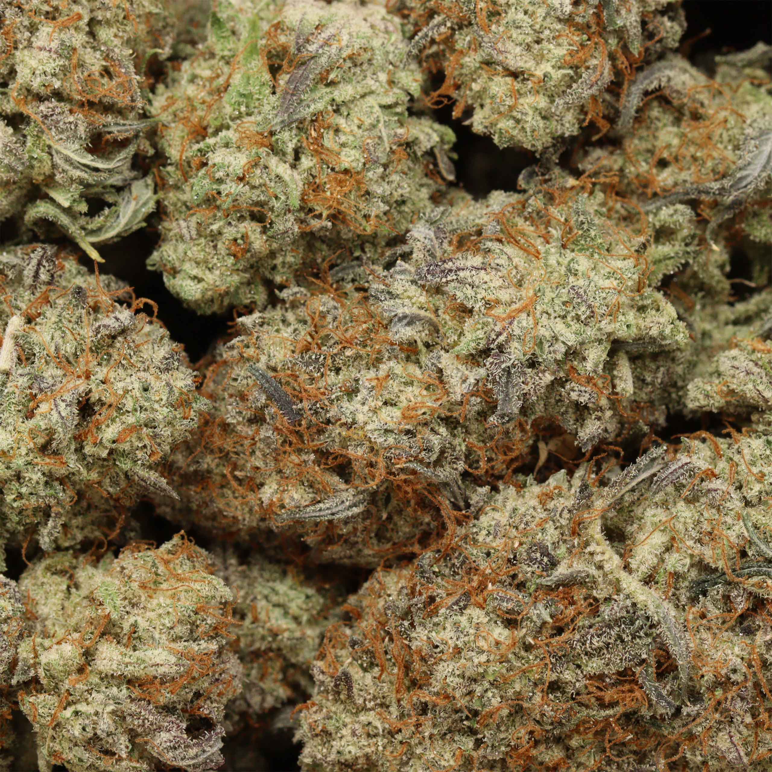 Tropicana Jet Fuel cannabis