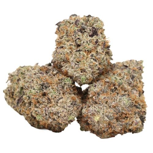 Tuna Kush strain craft cannabis