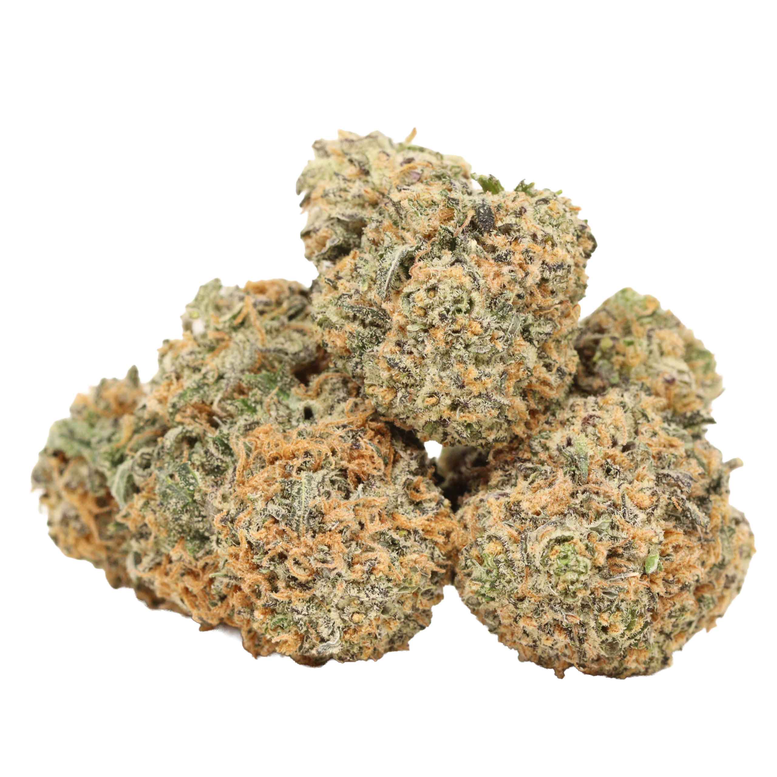 UBC Chemo Kush strain cannabis