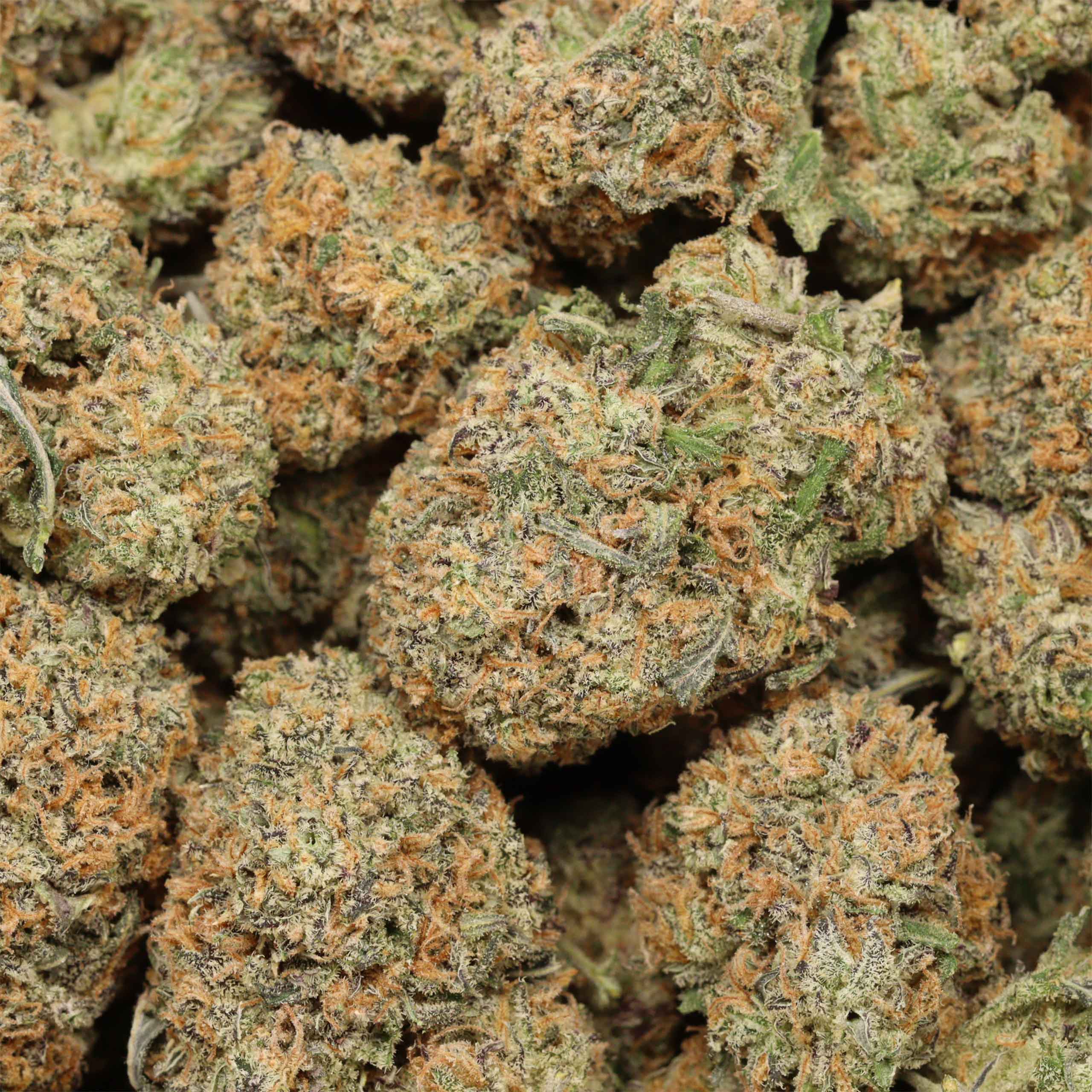 UBC Chemo Kush cannabis