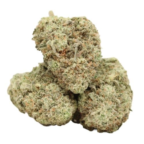 Ultimate Trainwreck strain cannabis