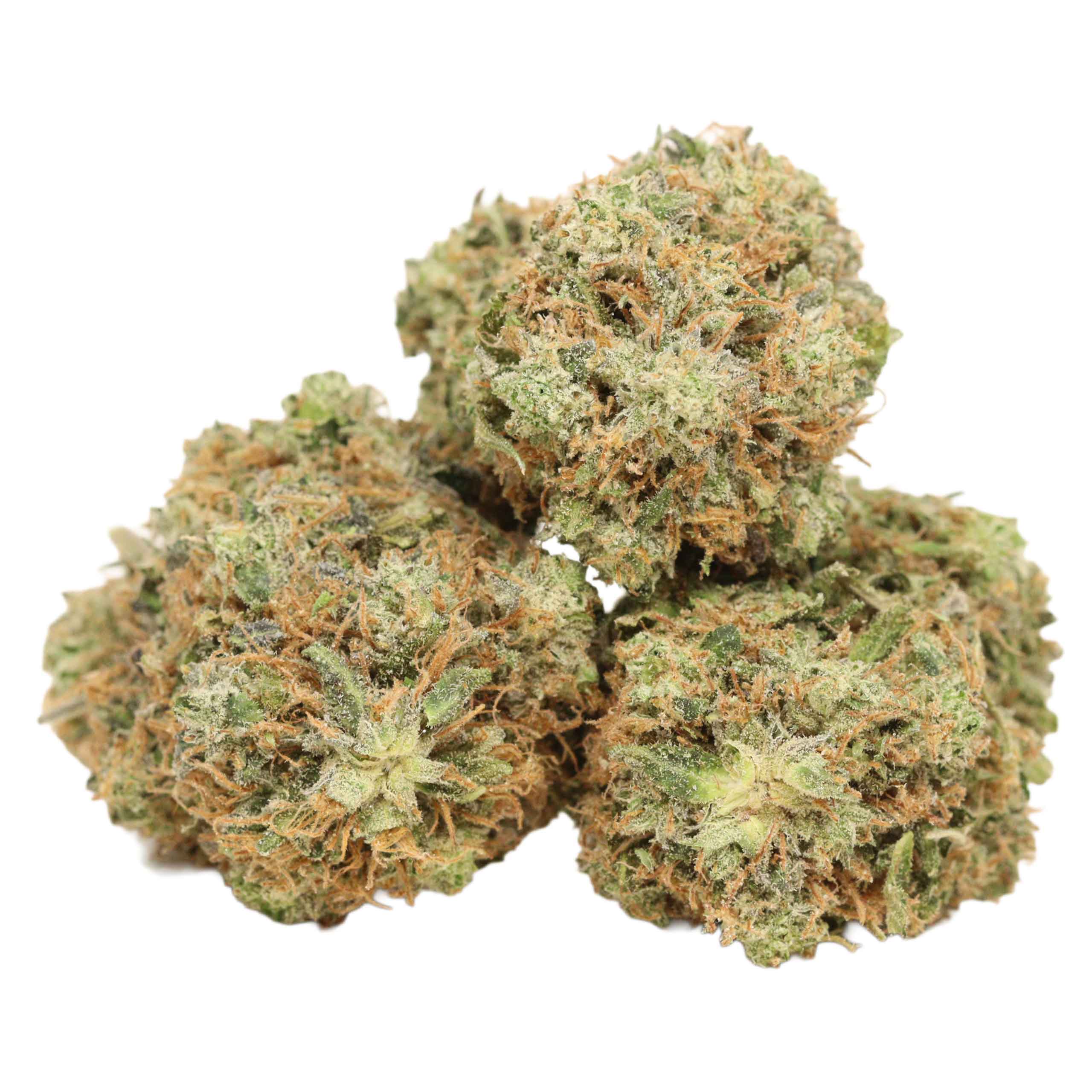 Ultra Pink strain cannabis