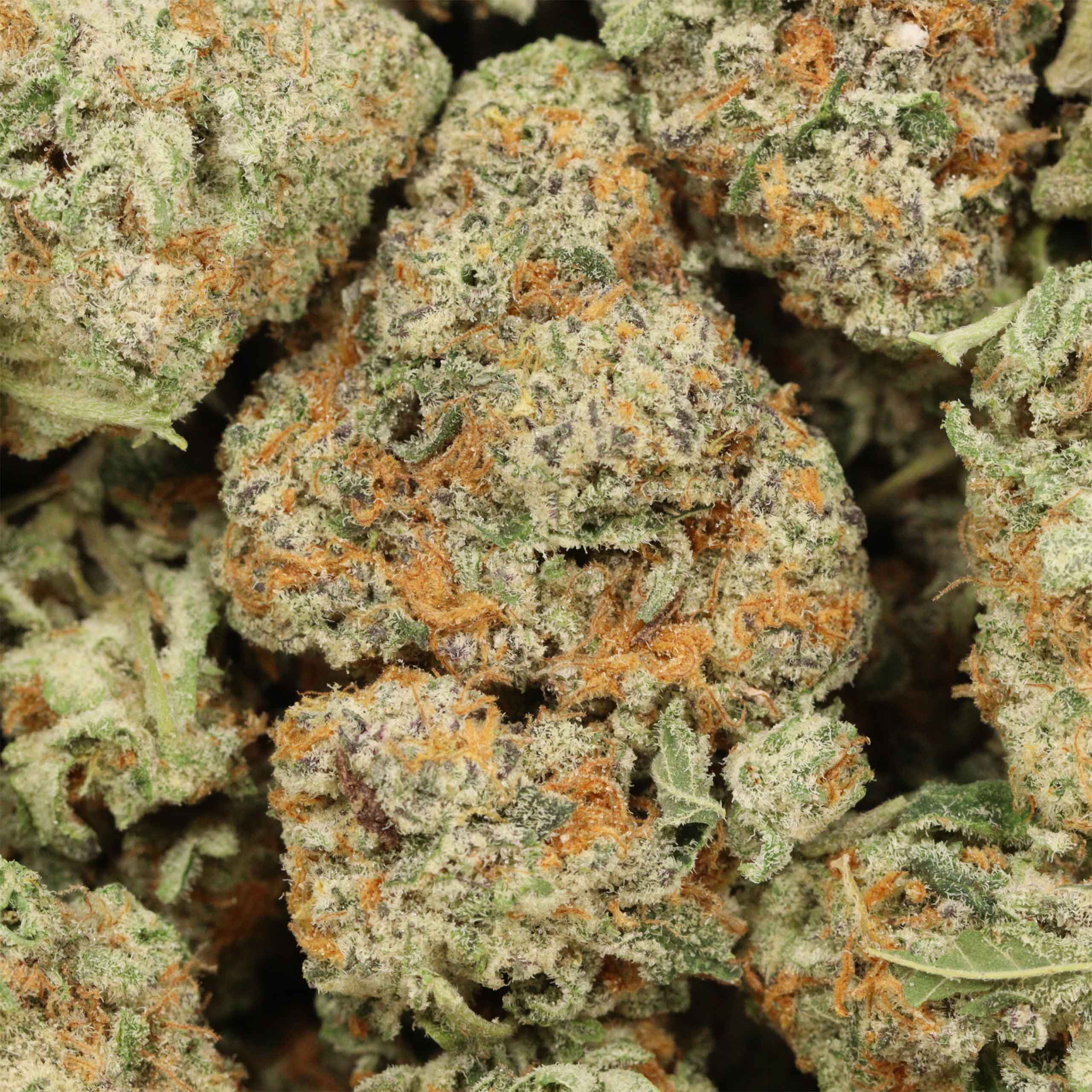 Wedding Cake cannabis