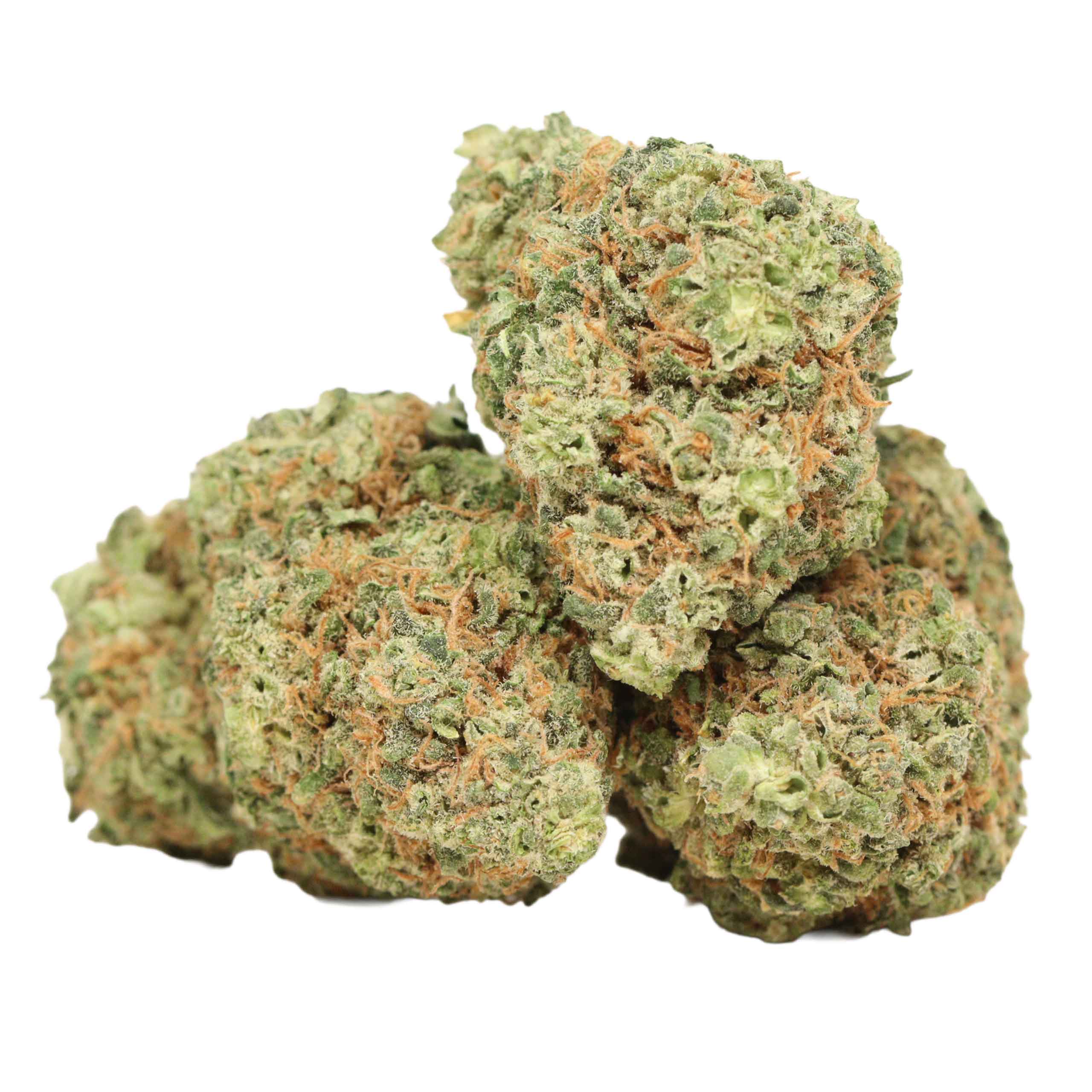 White Truffle strain cannabis