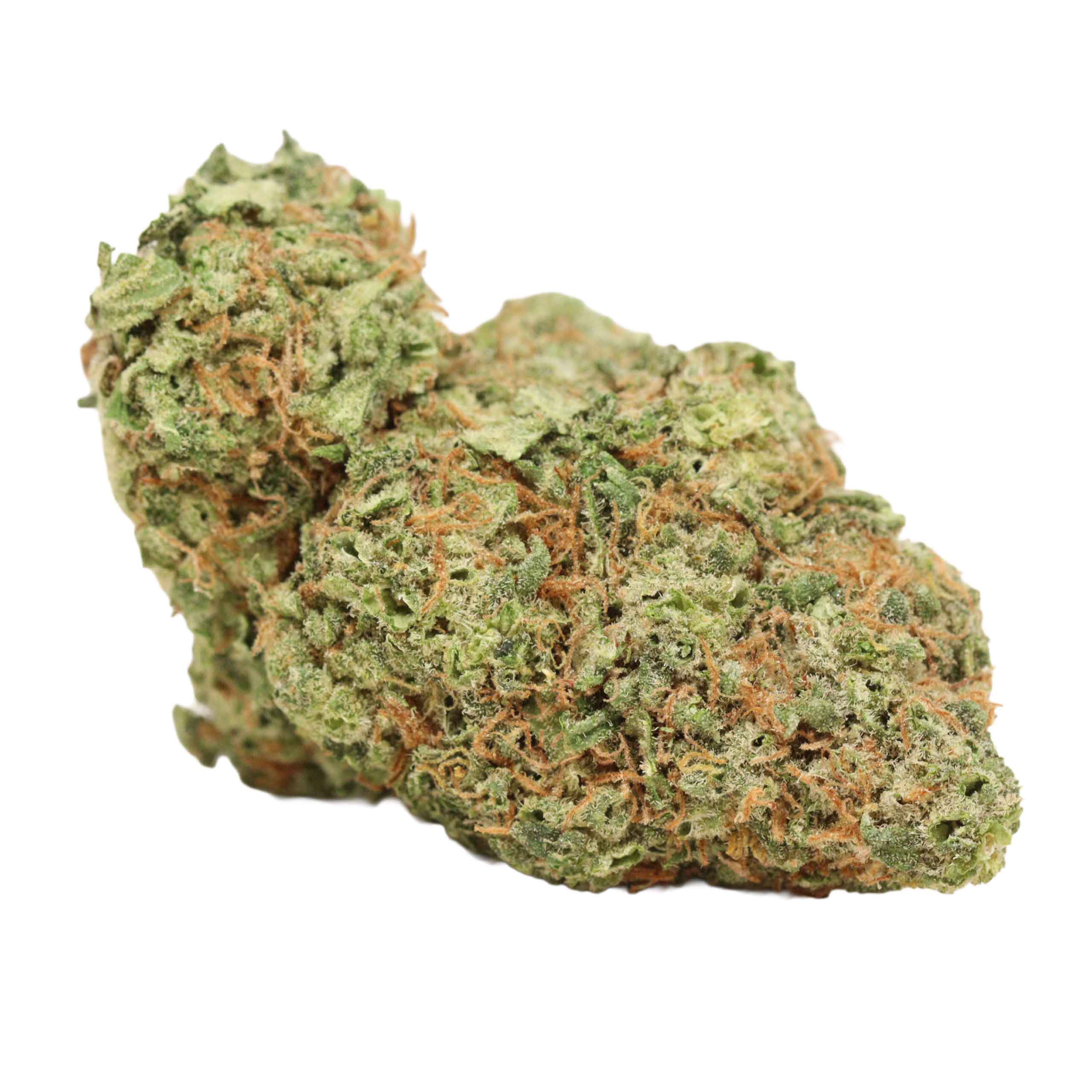 White Truffle weed cannabis