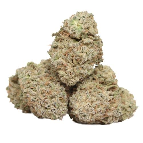 Afghani Kush strain cannabis