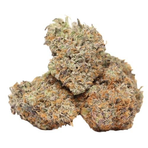 Pink Goo strain cannabis