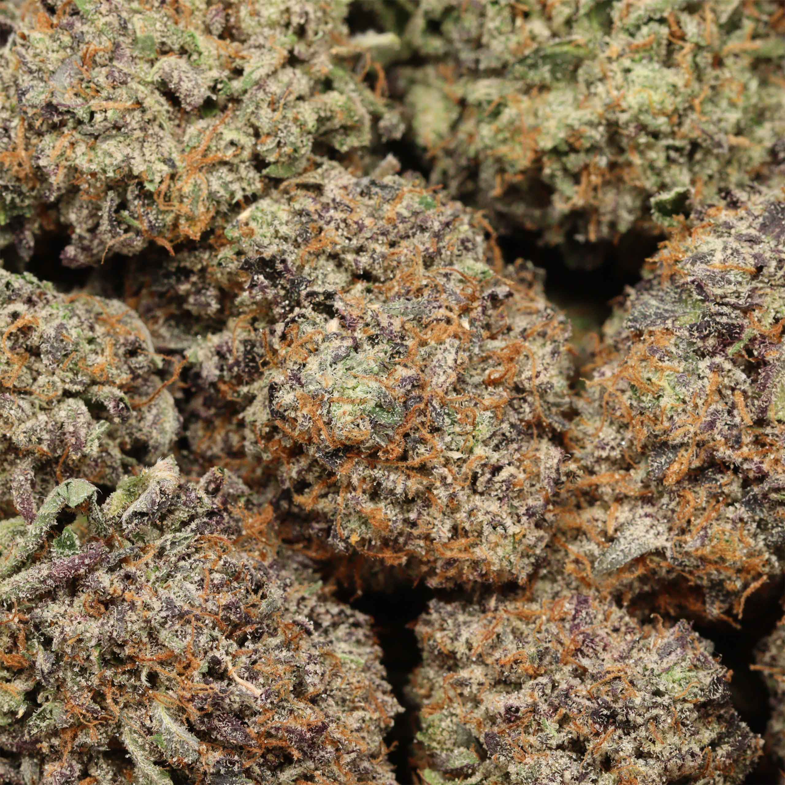 Pink Goo cannabis wholesale