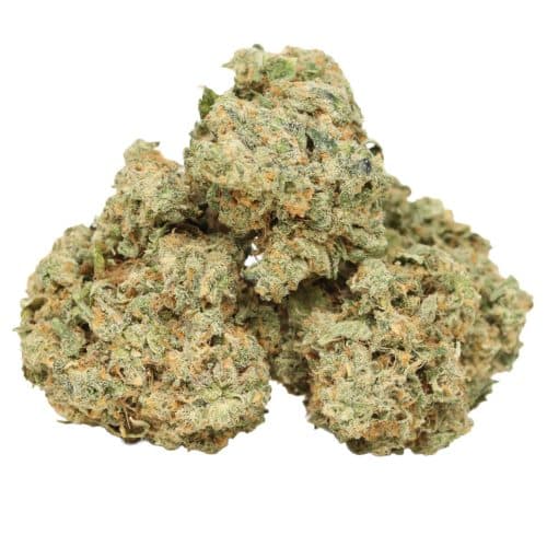 Starbud strain cannabis