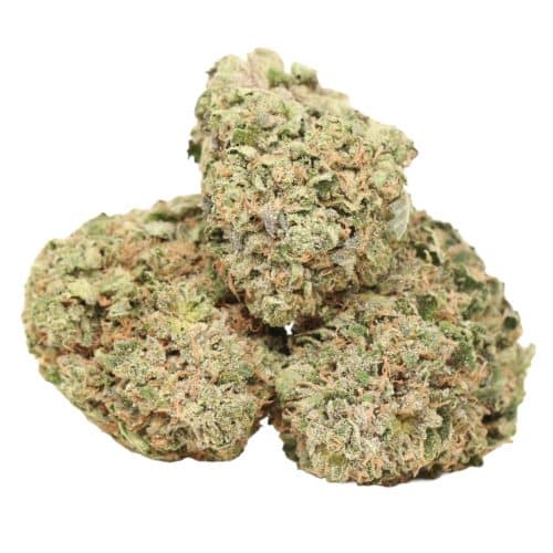 Tuna OG strain cannabis