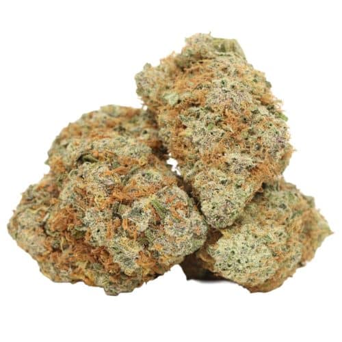 9 Pound Hammer strain cannabis