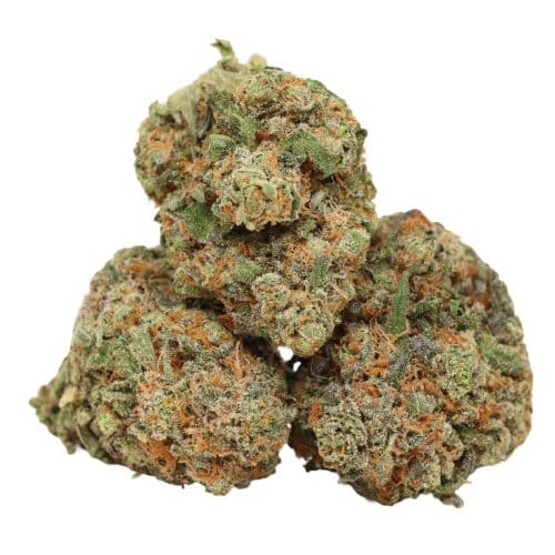 94 Monkey strain cannabis