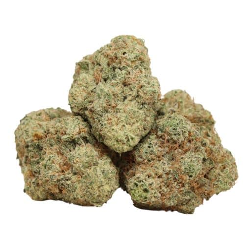 Ace Killer OG strain cannabis