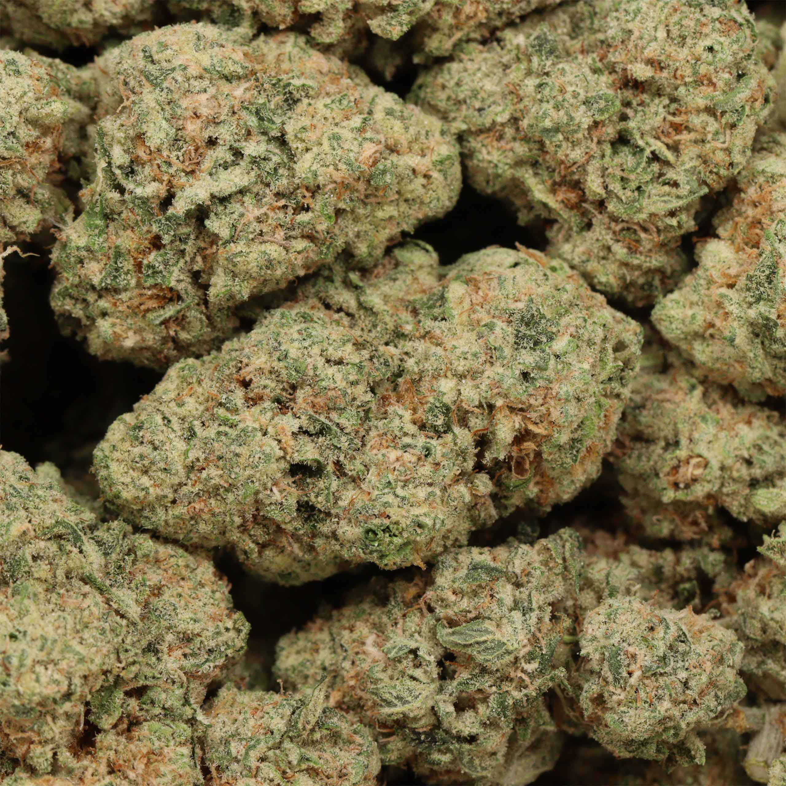 Ace Killer OG cannabis