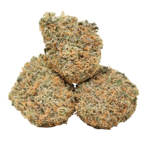 Afghani kush strain cannabis