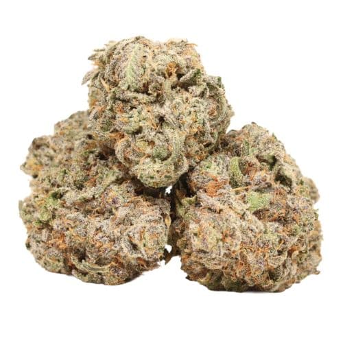 Afghani Kush strain cannabis