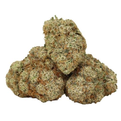 Apple Fritter strain cannabis