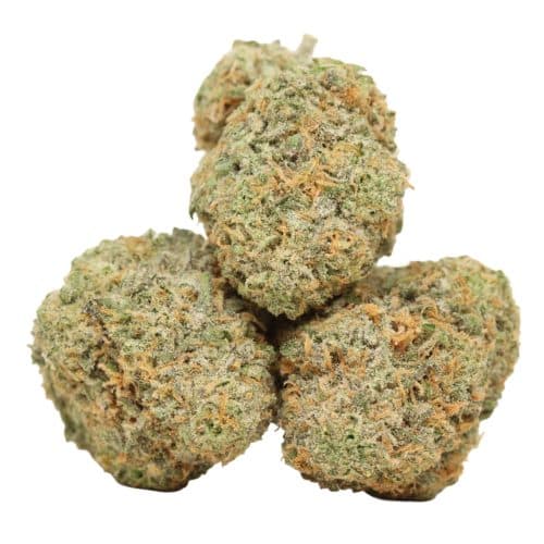 Apple Fritter strain cannabis