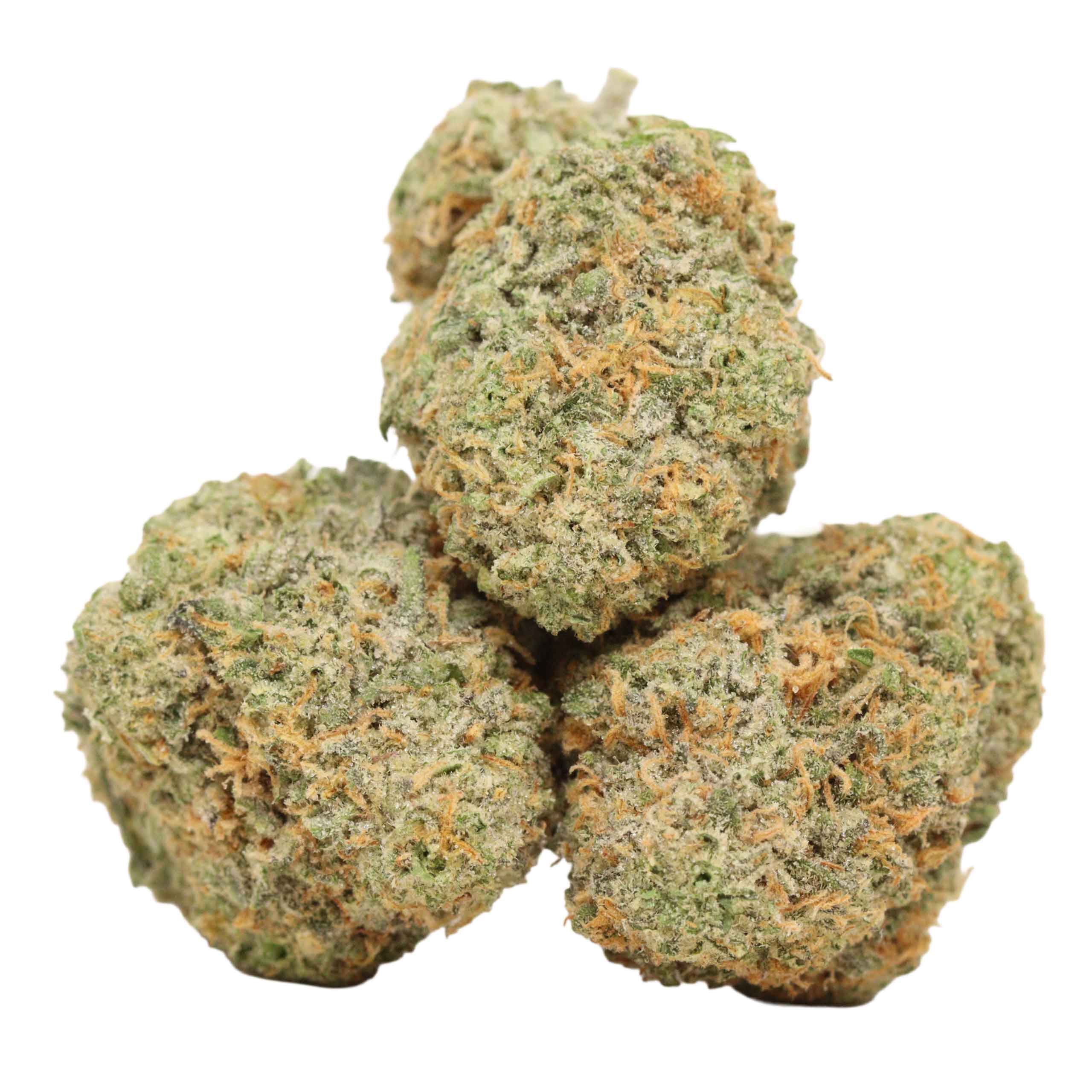 Apple Fritter strain cannabis