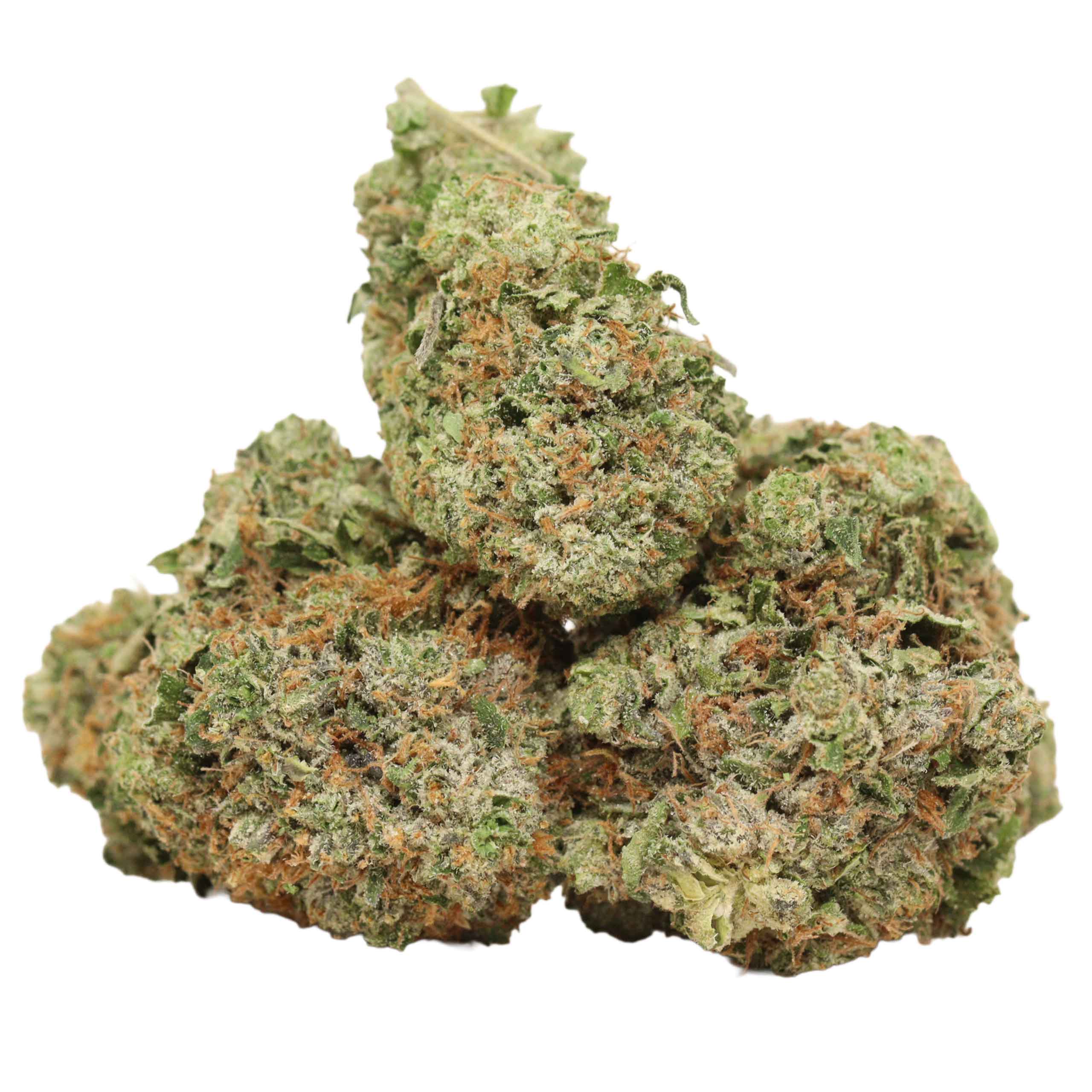 Astro Pink Kush strain craft cannabis