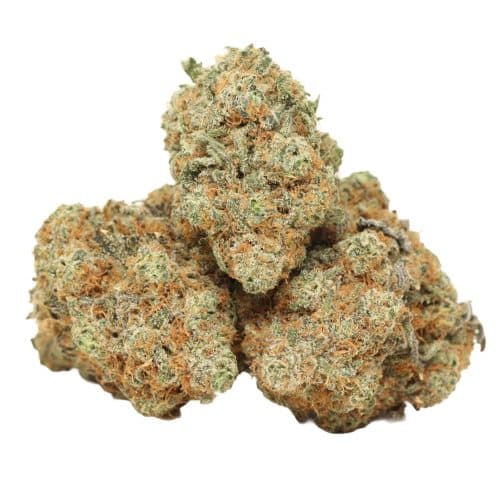 Ayahuasca Purple strain cannabis