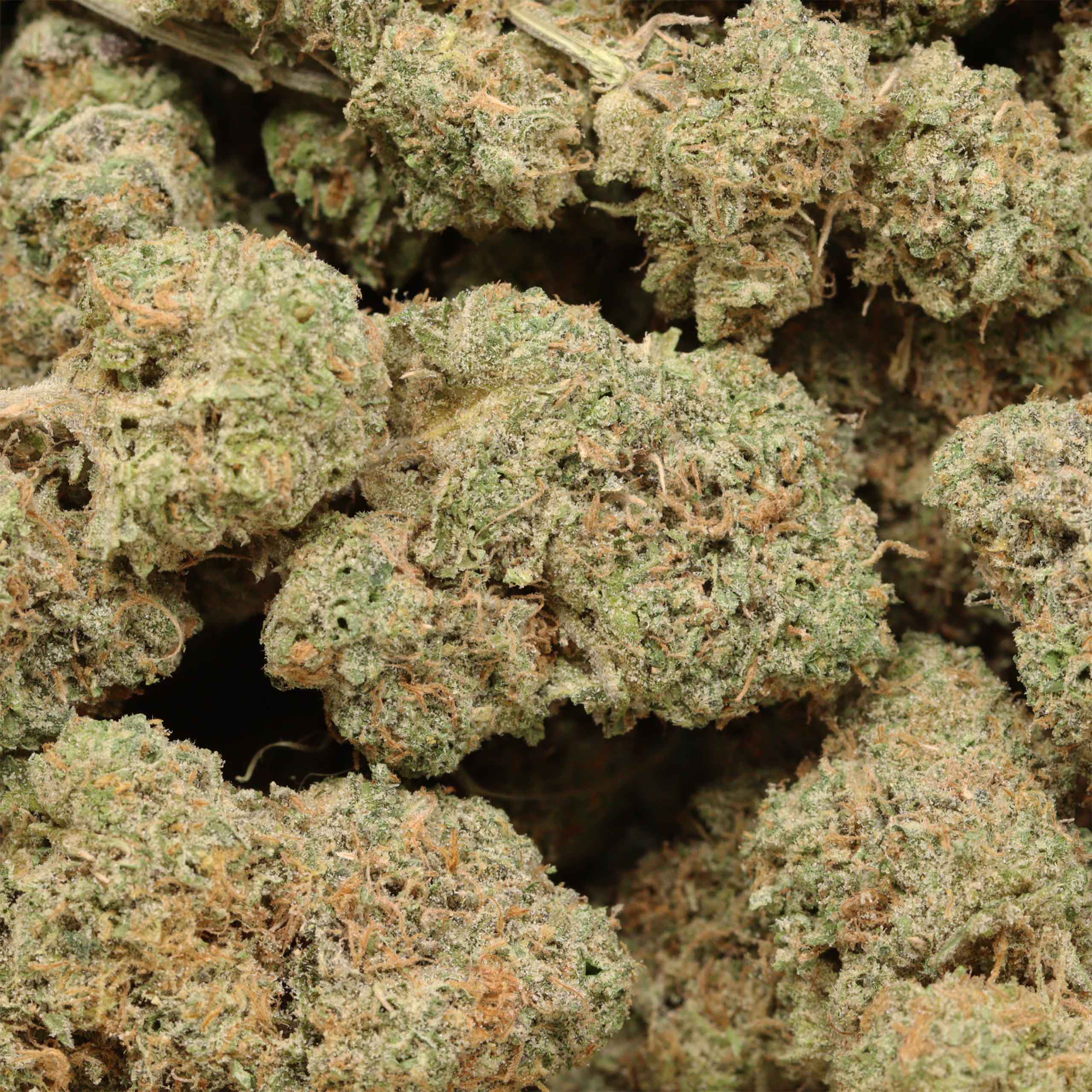 Banana Kush cannabis