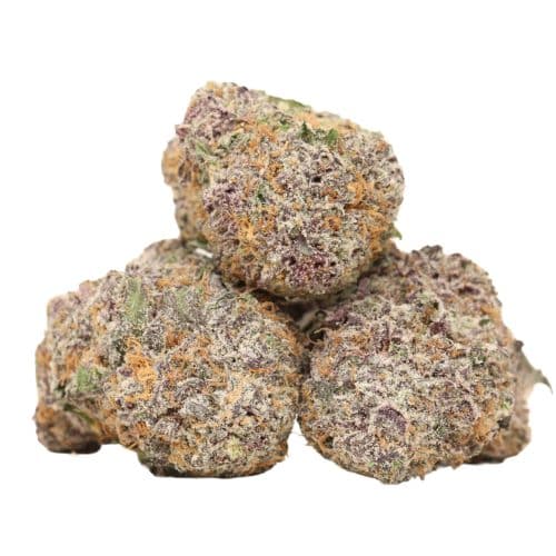 Black Cherry OG strain cannabis