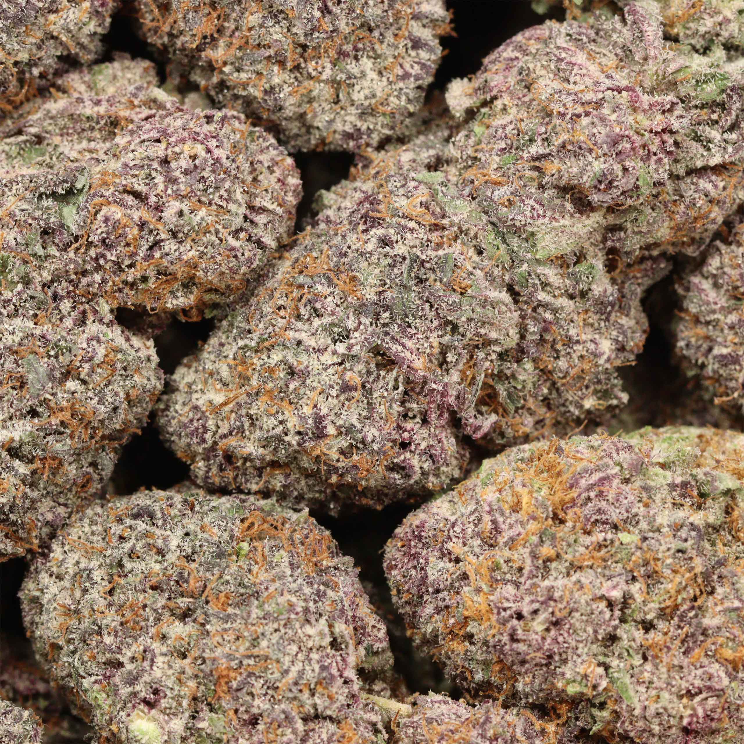 Black Cherry OG cannabis wholesale