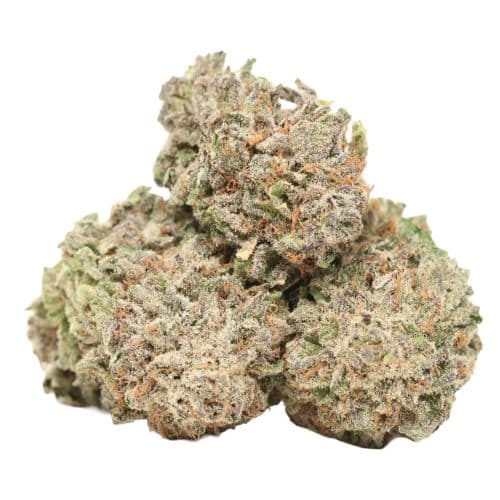 Black Diamond strain cannabis