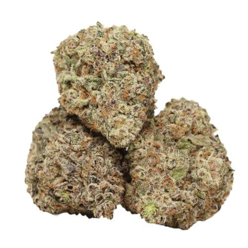 Black Forest Cake strain craft cannabis