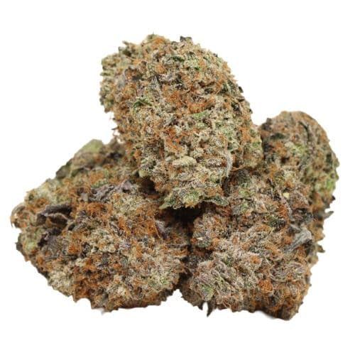 Black Gas strain cannabis