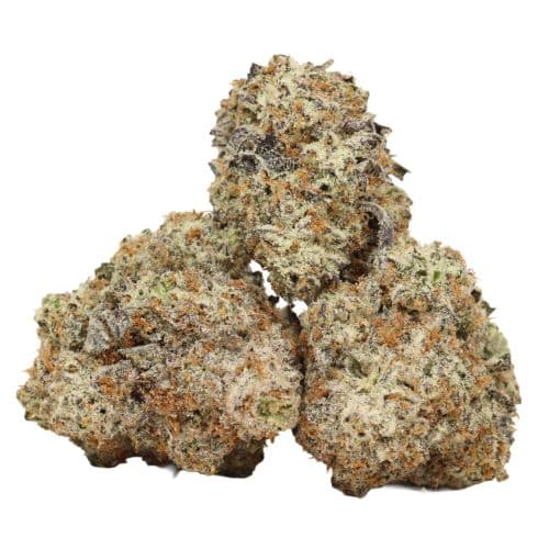 Blissful Wizard strain craft cannabis