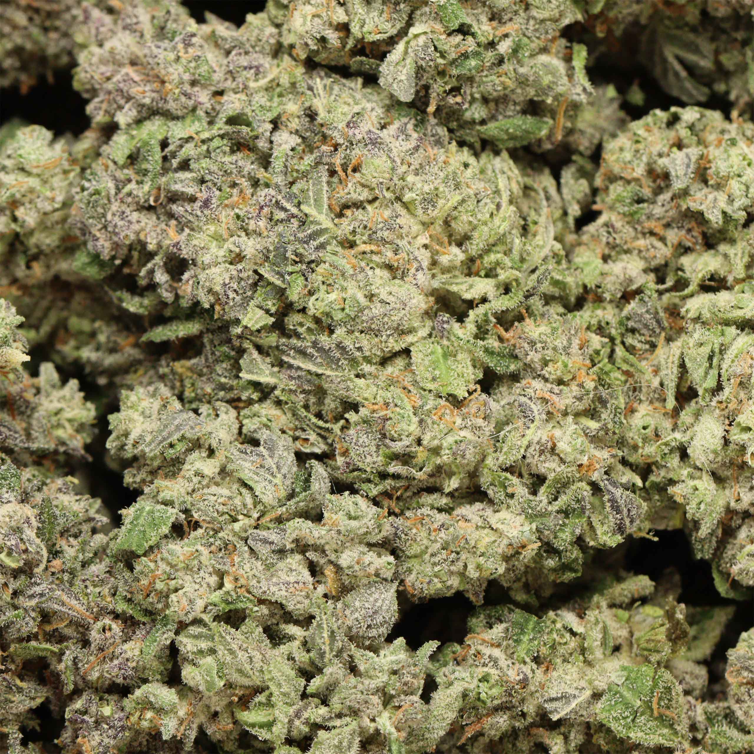 Blue Hawaiian craft cannabis