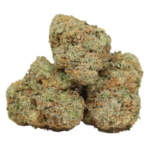 Blue King strain cannabis